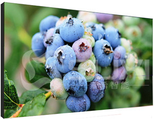 上海液晶拼接屏價格不斷壓低的原因有哪些呢？
